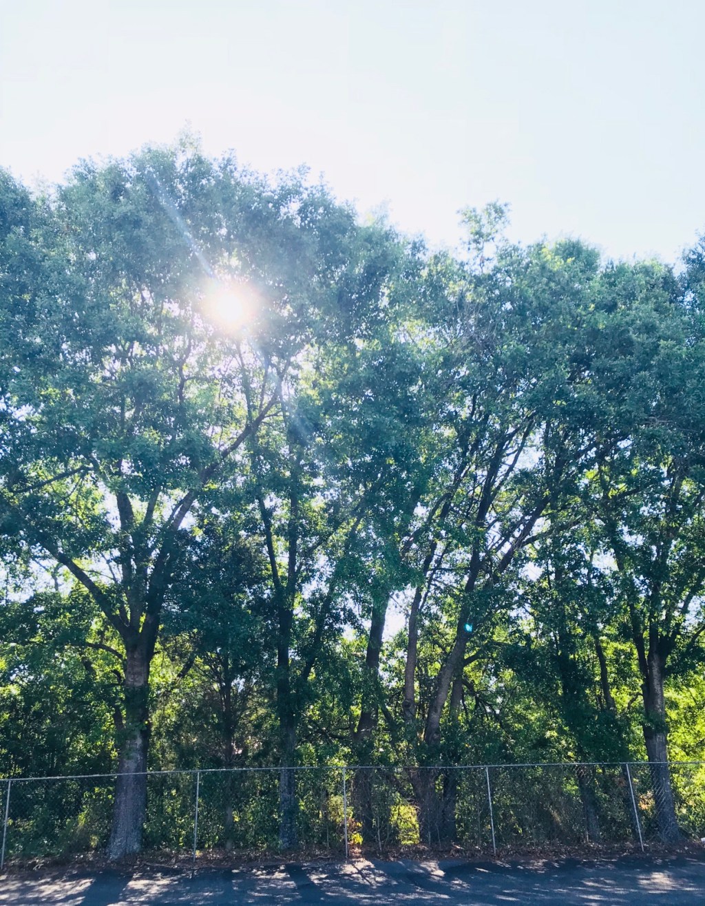 This Summer I’m&nbsp;Ready