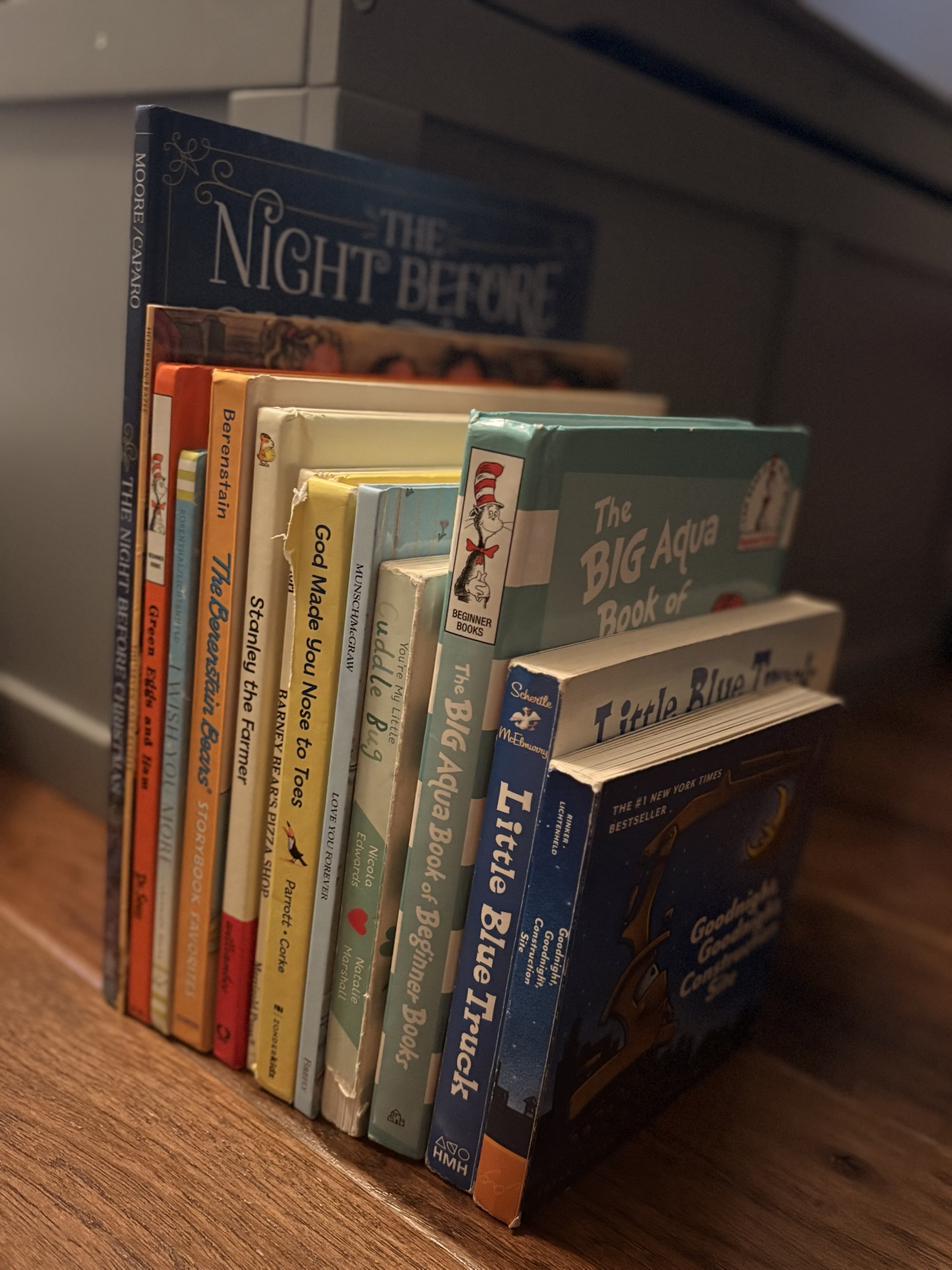 The Kids’ Night Library (Part 1)