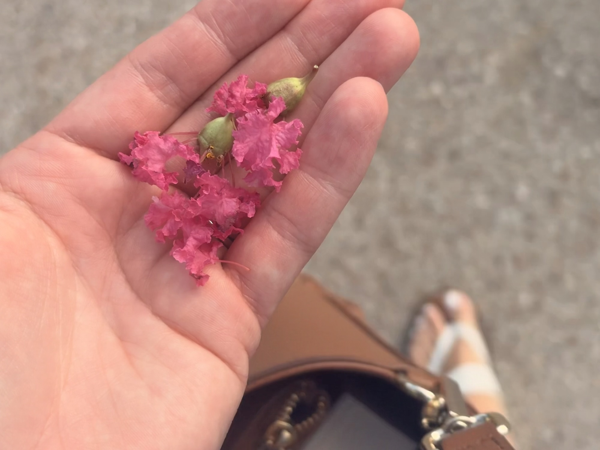 Lovely August Things